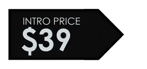 Intro Price